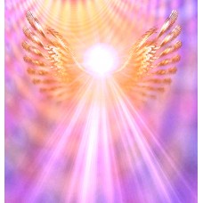 Navigating Your Interdimensional Life Accelerated Light Healing Experience MP3
