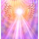 Navigating Your Interdimensional Life Accelerated Light Healing Experience MP3