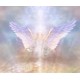 Angelic Healing Activation Accelerated Light Healing Video
