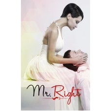 Mr. Right - Healing Our Love Karma by Vandana