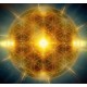 Vandana - Divine Healing from the Galactic Golden Beings